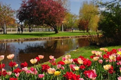 Spring in Park jigsaw puzzle