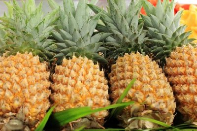 Four Pineapples jigsaw puzzle