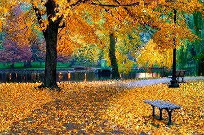 Herbst im öffentlichen Garten von Boston