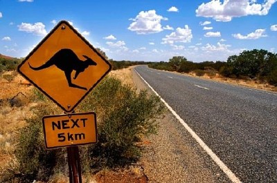 Segno di canguro, Australia