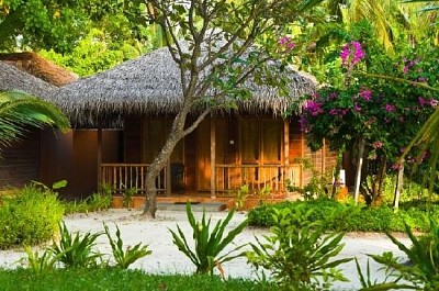 Bungalow in the Jungle jigsaw puzzle