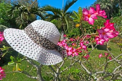 Flores e um chapéu