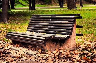 Bench in the Park jigsaw puzzle