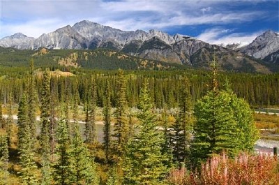 Bow River and Canadian Rockies jigsaw puzzle