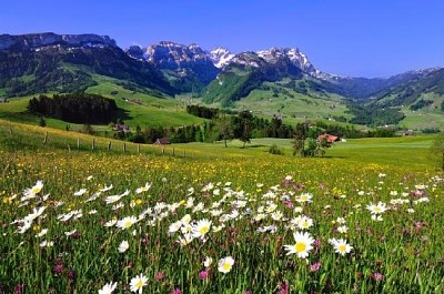 Paesaggio in Svizzera