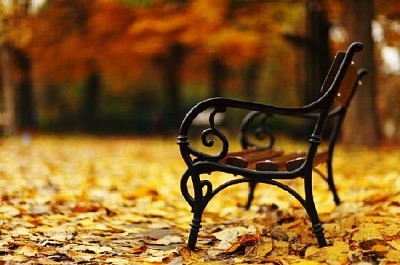 Bench in the Park jigsaw puzzle