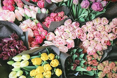 פאזל של צבעונים בשוק הפרחים