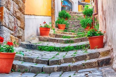 City Stairs Flowers jigsaw puzzle