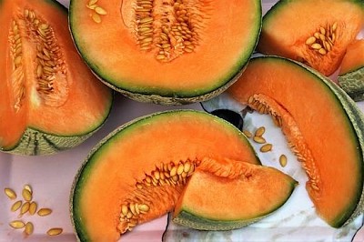 Leckere Melone