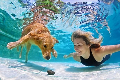 Mujer jugando con cachorro Retriever en piscina