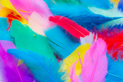 Close up to bright colorful feathers background jigsaw puzzle