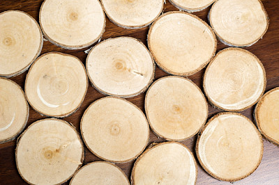 Composition of cut wooden round circles. Trunk sli jigsaw puzzle