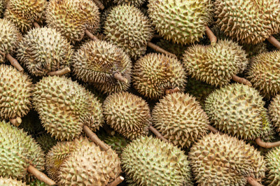 Durian rei das frutas, Flat lay of Durian Backgroun