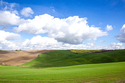 Verdes colinas de la Toscana a principios de la primavera