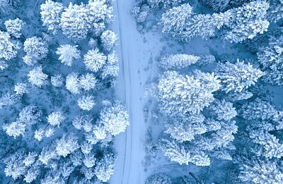 Foto aérea de árvores cobertas de neve