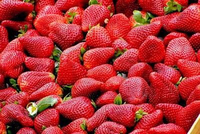 Erdbeer Lot