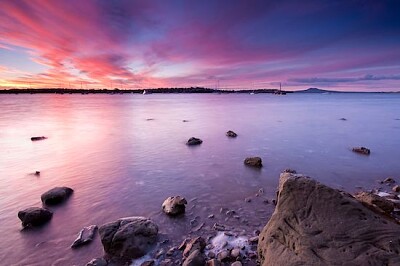 紫海日落