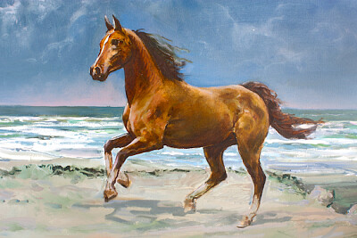 cavallo dipinto