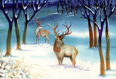與鹿的冬季景觀