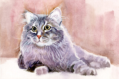 Katze-Illustration