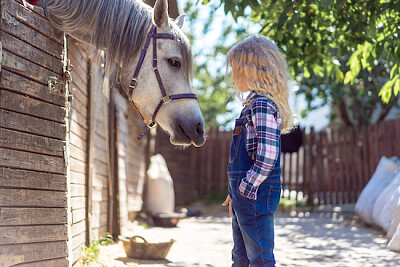 Kind, das ein weißes Pferd betrachtet