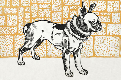 Pitbull Terrier (1912) jigsaw puzzle