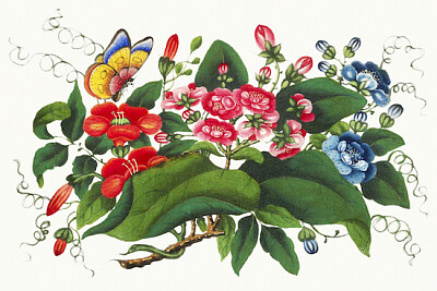 Chinese flower painting from the Qing Dynasty jigsaw puzzle