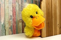 Duck Toy