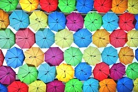 Multiple Umbrellas