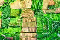 Aerial Photo of Farmland