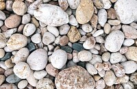 Stones of the Beach