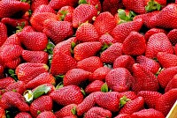Strawberry Lot