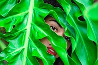 Person Behind Green Leaves