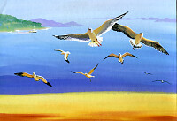 Watercolor Seagulls