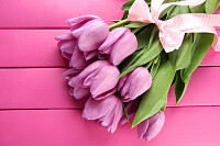 Bouquet of Purple Tulips