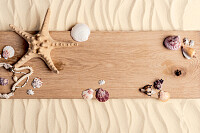 Seashells on Wood 
