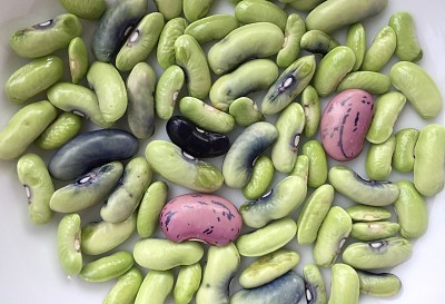 Summer Beans from Garden