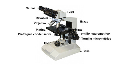פאזל של microscópio