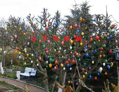 Osterbaum auf Norderney