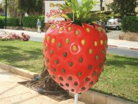 Statue of the strawberry - Ramat Hasharon,Israel