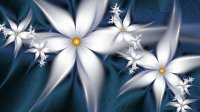 White-Flowers-On-Blue