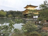 gold pagoda Japan