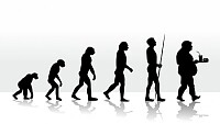 evolução