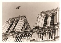 1975 Notre Dame, París