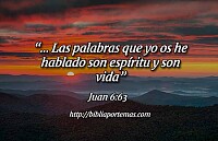 Juan 6:63