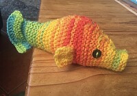 Rainbow fishie
