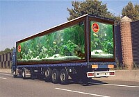 Camion aquarium