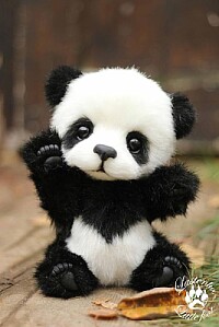 Un lindo panda bebe